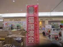 猫ちゃん譲渡会(=´∀｀)