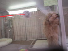 あんまり(。-∀-)