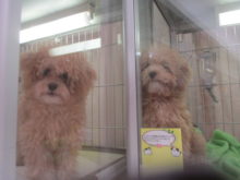 ツーショット(*^_^*)