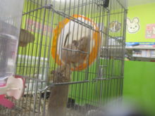 ぐるぐる( ´▽｀)