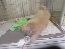 おりゃっ(｀・ω・´)