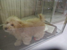 スッ…(ﾟ∀ﾟ)