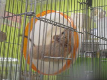 浮いてる(ﾟ∀ﾟ)