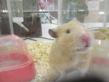 元気いっぱい(^ω^)