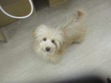 なぁに？(´・ω・｀)