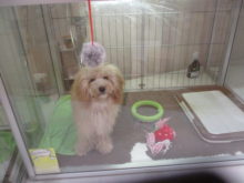 ちょうど(*´∀｀)