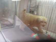 満足(๑≧౪≦)