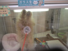 バンザーイヾ(＠⌒ー⌒＠)ノ