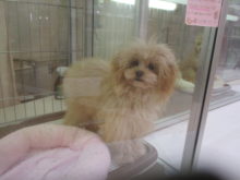 トレーニング(^_^)