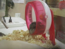 いろんな寝方(^ω^)