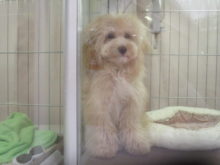 キリッ( *｀ω´)