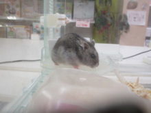 探検（ゝ。∂）