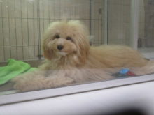 気づいてる？(´ω`)