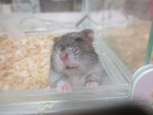 ワクワク(o>ω<o)