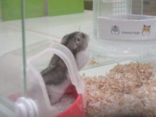 ごはん〜(*´▽｀*)