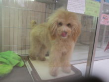 ぺろり(*´∀｀)