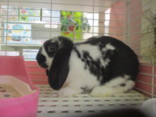 はじめまして！(^-^)/