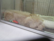 夢の中( ´△｀)