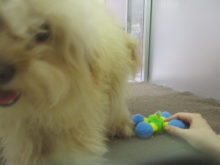 おもちゃより…？(*ﾟ▽ﾟ*)