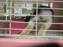 ビュンッ(・∀・ ≡＝－