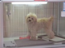 カメラ(☆∀☆)