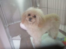 あら♡(＠゜Д゜＠)