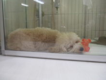 好きな場所(*ﾟ∀ﾟ*)