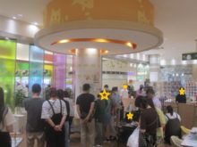 猫の譲渡会(=‘ｘ‘=)