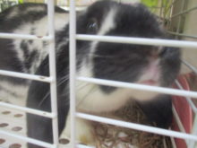 美味すぎー！\(//∇//)\