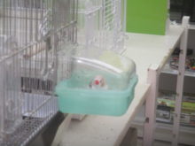 バシャバシャ＼(^^)／