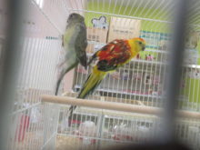 美しい(☆∀☆)