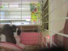 見つめる(-.-)☆