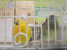 ブルブル((((ーДー))))