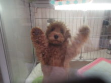 いえーい♪(＾o＾)ﾉ