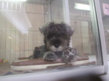 見て！！(*ﾟ∀ﾟ*)