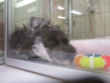 起きてる(ﾟ∀ﾟ)