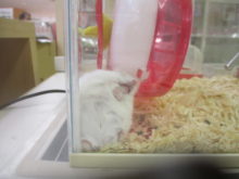 狭いところ(-_-)゜zzz…