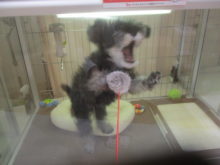 びょーんヽ(￣▽￣)ノ