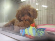 見て見て〜(*´▽｀*)