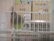 こうそくいどうヽ(・∀・)ノ三