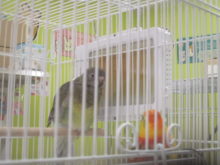 ポカポカ(´ε｀ )