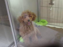 あくび(*´▽｀*)