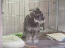 チェック(´∀｀)