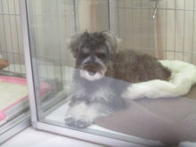 出来るよ〜！(^-^)☆彡