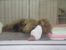 ガジガジ(*≧∀≦*)