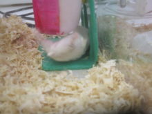 ズコー_(┐「ε:)_