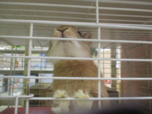 うま〜〜(ﾟдﾟ)