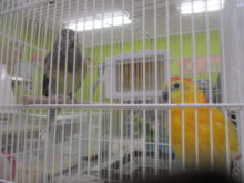 なになに〜（’◇’）