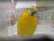 え〜〜？(´-ω-`)