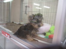 どこまでも(^ω^)